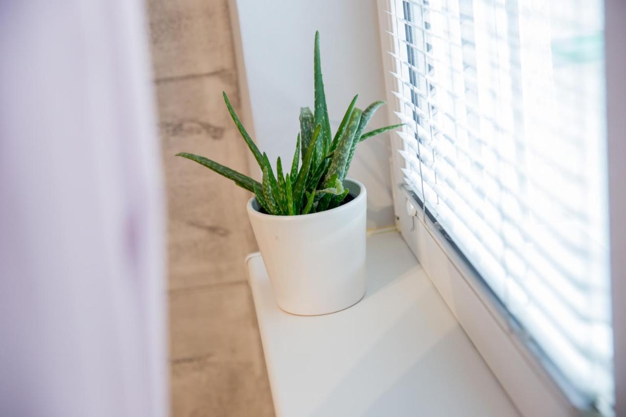 Apartment Studio Milena Subotica Zewnętrze zdjęcie